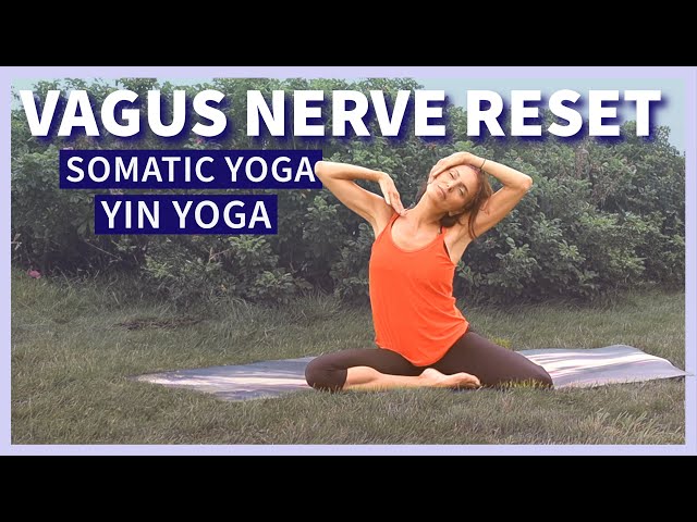 SOMATIC YOGA FOR VAGUS NERVE RESET with Yin Yoga to Remove Toxic Energies