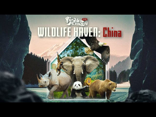 Wildlife Haven China_中国野生动物家园