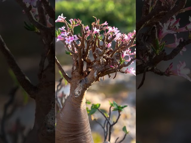 Самые загадочные места на Земле — это нужно увидеть!