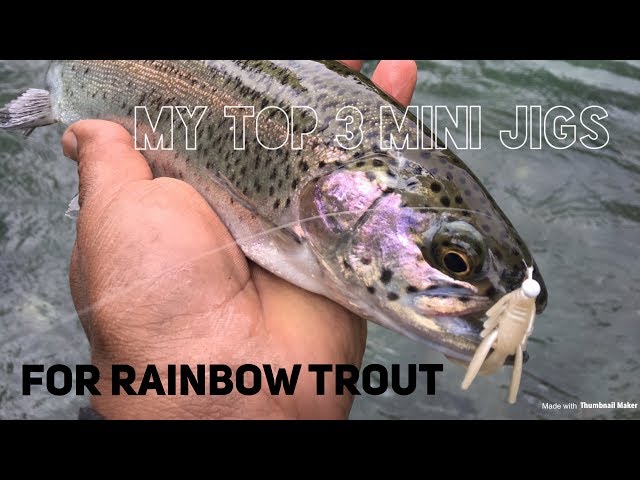 My trout rod setups and top 3 mini jigs | Eastern Sierra Trout Fishing