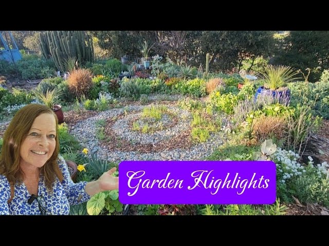 My February Eclectic California Garden 🌼 🌵 a virtual tour.