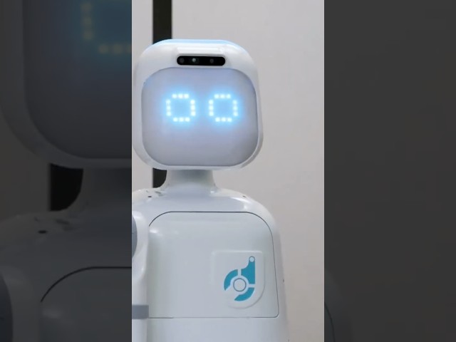 ¿Un robot te cuidará?