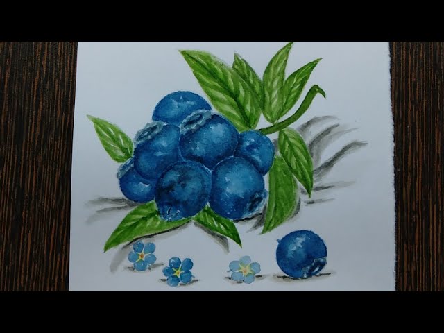 Watercolourpainting | For beginners | Blueberry | #easypainting #painting  #watercolorpainting