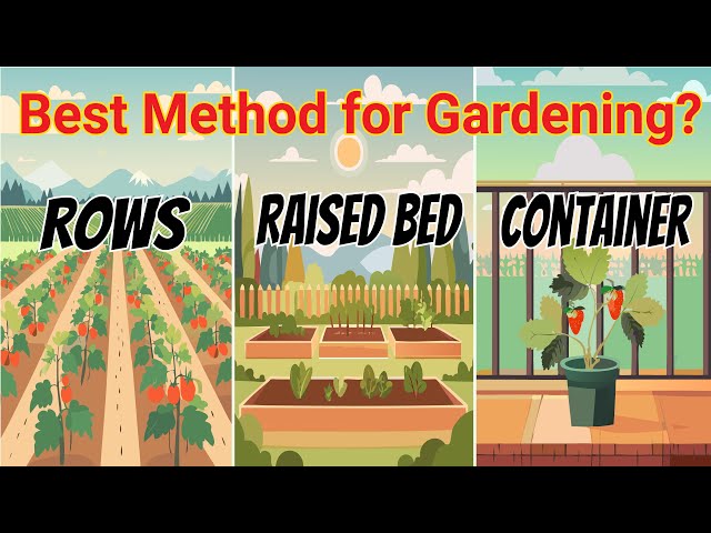 Backyard Garden Design Series CP 3- How to choose the best method for your backyard gardening