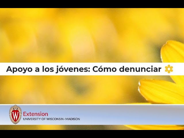 Apoyo a los jóvenes: Cómo denunciar