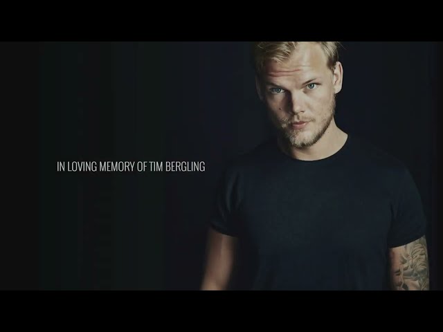 Tribute to a Wonder Boy - Avicii Invector