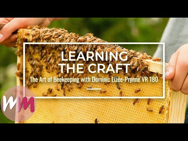 VR 180: The Art of Beekeeping | Ep 3 [Honey Collecting/Up Close with Bees]