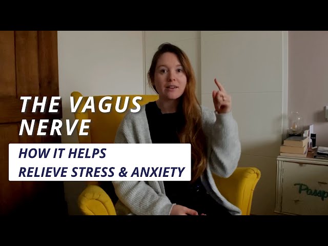 What is the Vagus Nerve? | Somatic Stress & Anxiety Relief