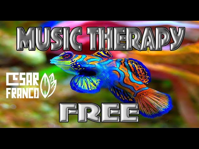 FREE  - MUSIC THERAPY  - relaxing music  - medicine - anti stress - remedy -  peace - inner harmony