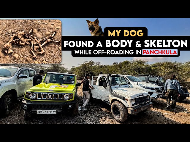 Extreme Jimny offroad | Hilux Tyre Burst, BMW 1300 GS, Modified Thar, Gypsy & Fortuner offroading