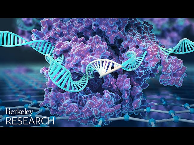 New CRISPR-powered device detects genetic mutations in minutes