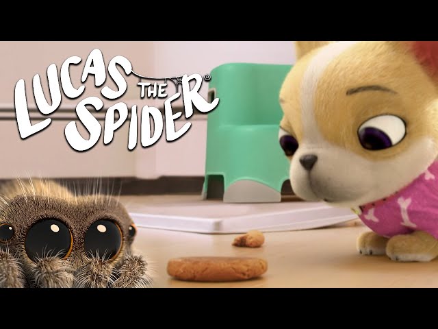 Everybody loves these cookies! | Lucas The Spider