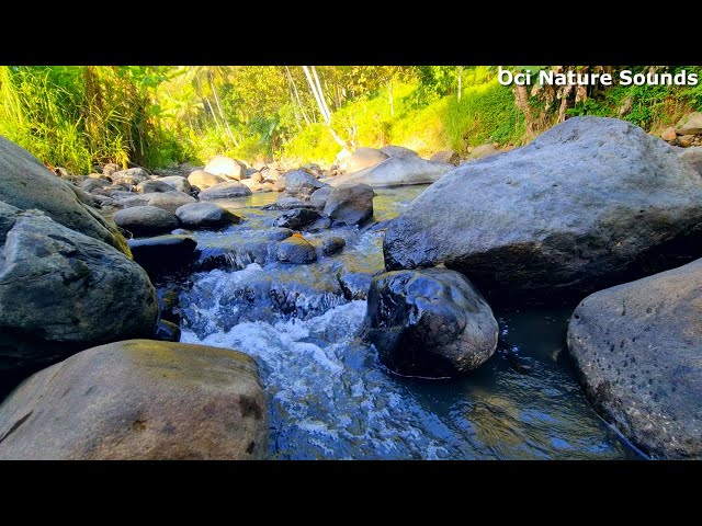 Peaceful Water Sounds Make You Sleepy, Relax, Healing And Stress Relief