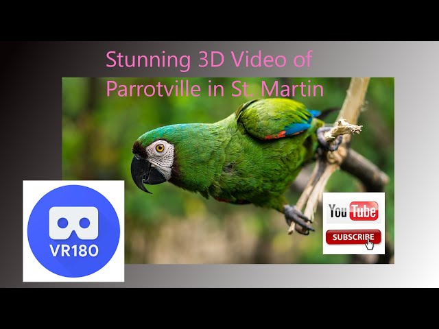 Parotte Ville Bird Sanctuary in St. Martin / St. Maarten - 3d VR180