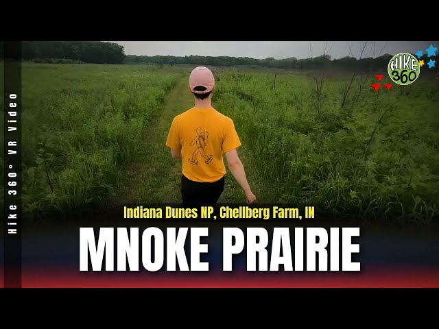 Indiana Dunes NP, Chellberg Farm, IN - Mnoke Prairie (Hike 360° VR Video)