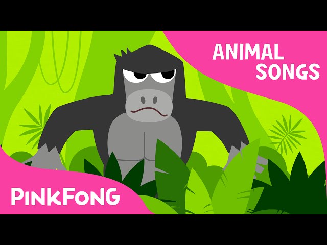 Jungle Boogie | Lagu hewan | PINKFONG Lagu untuk Anak-anak