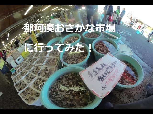 那珂湊のおさかな市場に行ってみた！I went to the fish market in Nakaminato!　180度3DVR　oculus go！