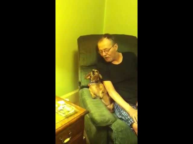 Cutest Dachshund Ever Sings Old McDonald!