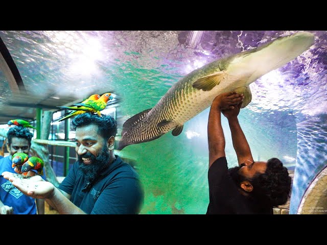 Visiting Marine World Aquarium | M4 Tech Vlog |