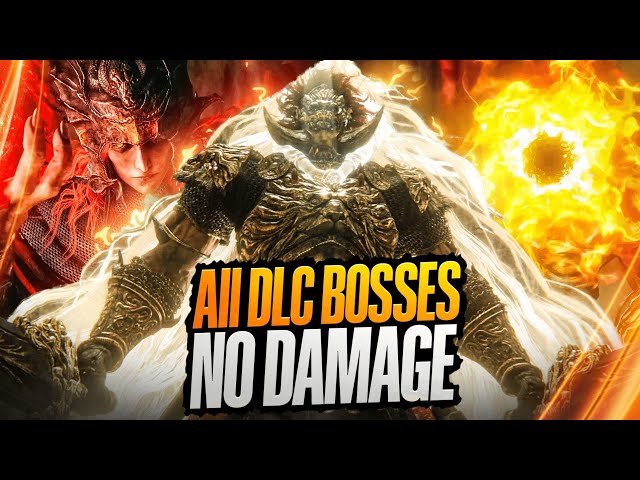 Elden Ring DLC - All Bosses 4k (No damage)