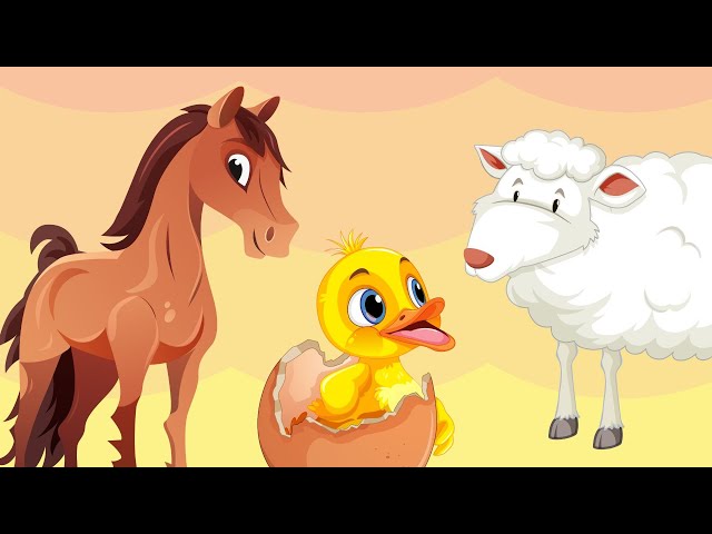 Animal Sounds Song | | Safari Animal Names & Sounds For Toddlers| Giraffe 🦒, Sheep 🐑, Horse🐴