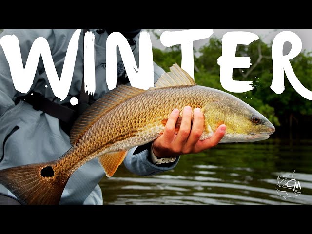 Catching BIG Florida Redfish in WINTER...