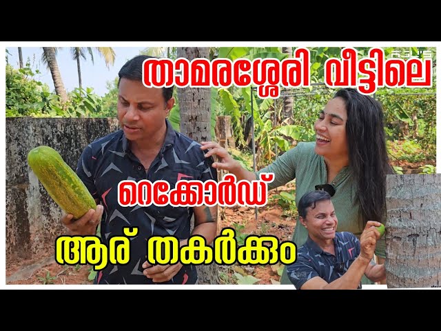 താമരശ്ശേരി കുടുംബത്തിൽ ഒരു റെക്കോർഡ്.../Funny /Vegetable harvest /Village cooking /Churakka curry