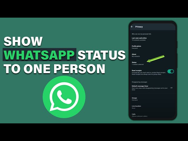 How To Show Whatsapp Status To One Person (2025)