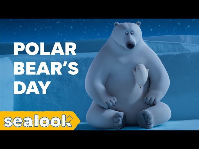 🐻‍❄️Team Polar Bear | International Polar Bear Day | SEALOOK | Episodes Compilation