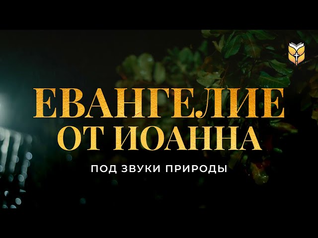 Евангелие от Иоанна под звуки природы. Современный перевод Библии #biblevision