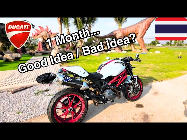 Ducati Monster 796 S2R 1 Month Review. Desmo Service & Timing belt in Month 1! #ducati #termignoni