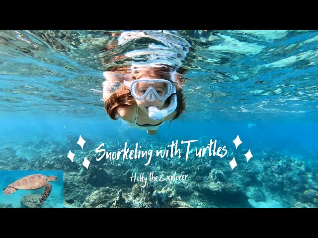 Snorkeling with Turtles