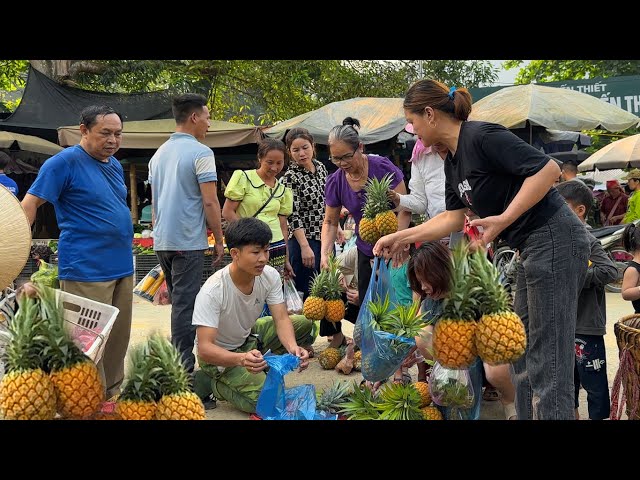 2 Years Alone in Forest, Harvest big pineapples, big papaya go market sell,Raise chickens ducklings