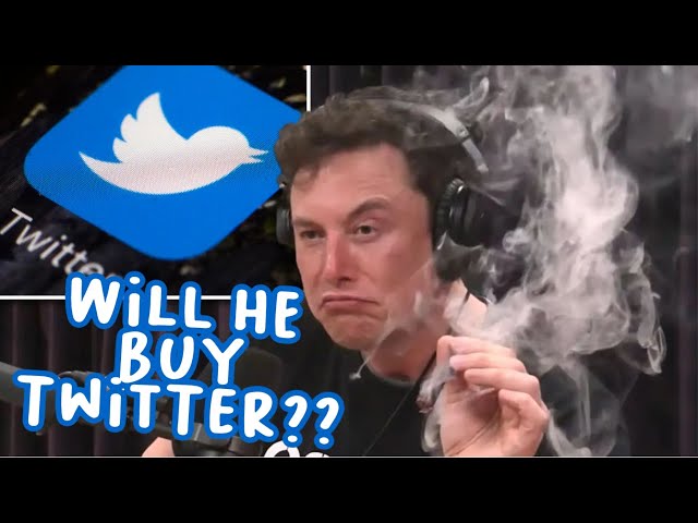 Can Elon Musk Actually BUY TWITTER? Should He?