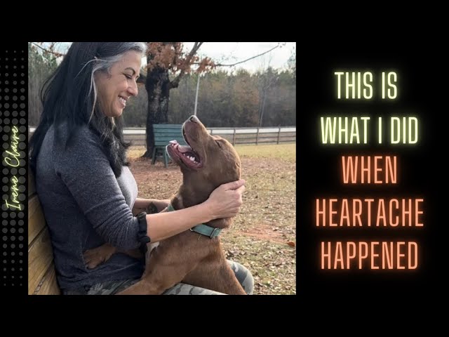 Healing Heartbreak & Helping Animals: A Journey of Love and Compassion 💜