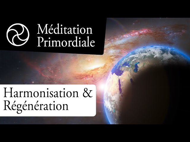 🧘‍♂️ Méditation guidée : harmonisation et régénération