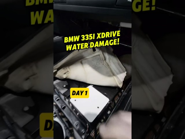 BMW 335i xDrive Water Damage! (1 of 2) #shorts #robthemechanic #bmw #waterdamage #mechaniclife