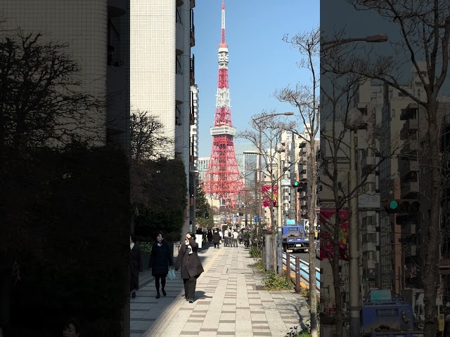 #travel #tokyo #japanwalk #virtualreality #train #gopro #virtualjapanesetour #trip #automobile