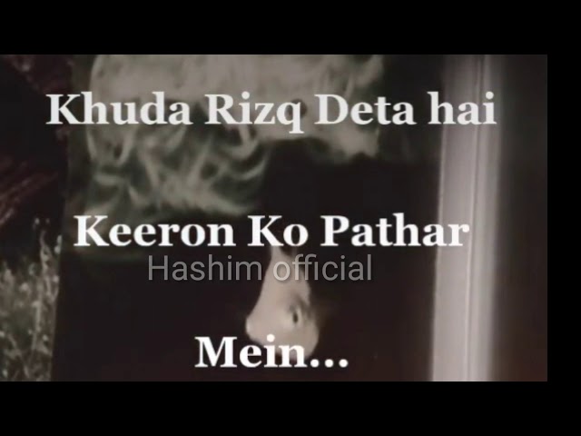 Khuda rizq deta he keeron Ko pathar mein Islamic WhatsApp status