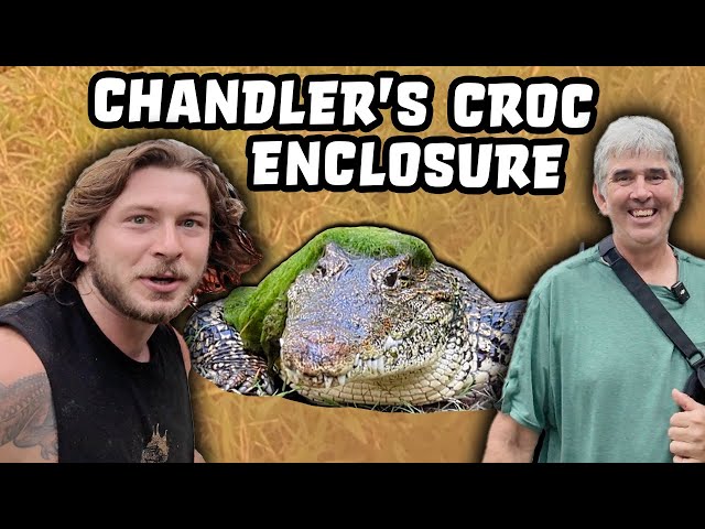 Planting Chandler's Wildlife Crocodile Enclosures