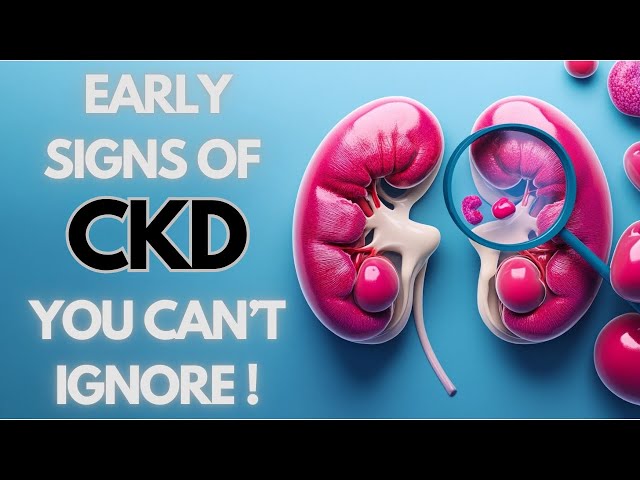 Kidney Disease Symptoms: What’s Your Body Hiding? Q&A