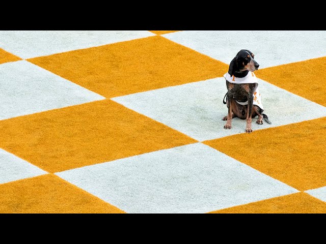 Tennessee Traditions: The Checkerboards