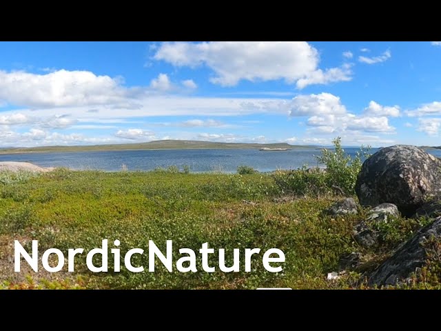 Lapland, Norway: arctic Varangefjorden 360, near the Norwegian-Russian border, 70° N