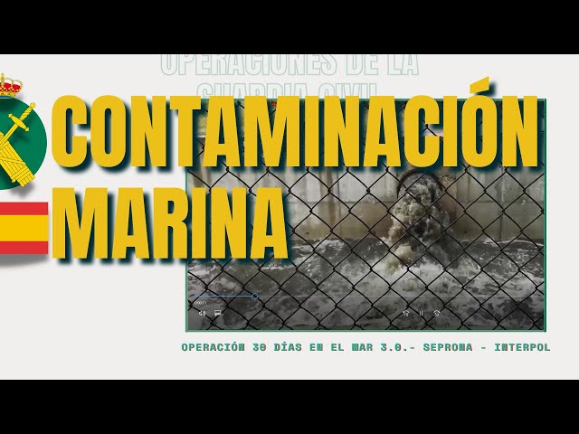 La Guardia Civil detiene e investiga a 69 personas por delitos vinculados a la  contaminación marina