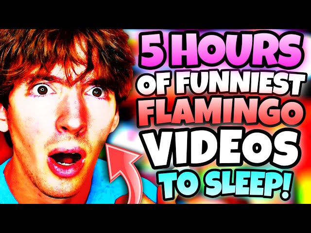 *5 HOURS* OF “FUNNIEST” FLAMINGO VIDEOS (ROBLOX/MARATHON)