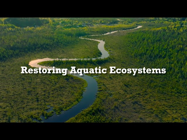 Restoring Aquatic Ecosystems