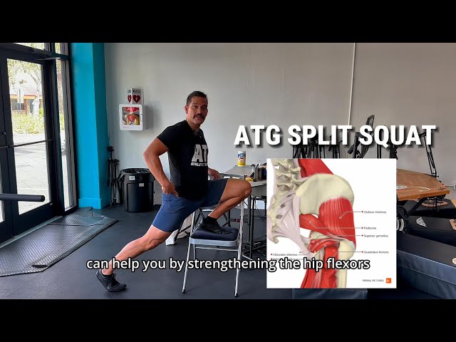 ATG Split Squat Form & Regressions