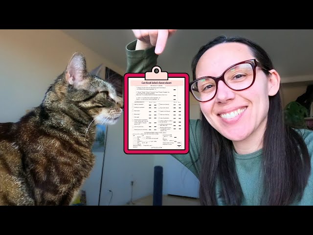 Use my cheat sheet to find the best cat food