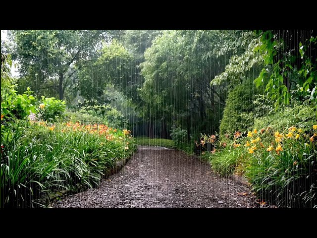 Arboretum that is more Beautiful when it Rains - Rain Sounds and a Landscape that Heals the Mind