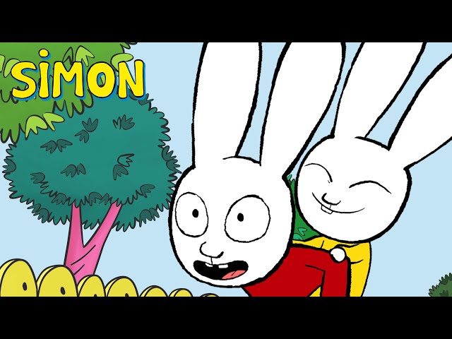 Super grand frère | Simon Superlapin | Épisode Complet Saison 1 | Dessin animé pour enfants